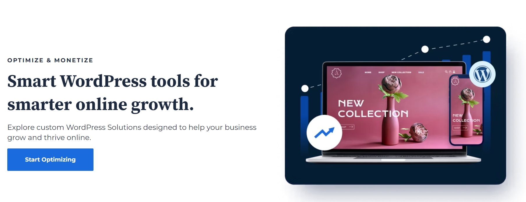 Bluehost